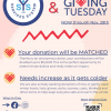 Photo for YSS Giving Tuesday Campaign